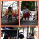 에덴목장 이미지