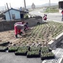 개곡1리 이미지