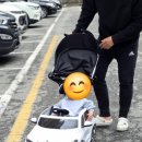 파파야나인 푸쉬카 8세대 구입후기 핫딜가격정보 구매방법