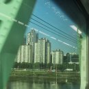 선거관리위원회 | 선거관리위원회 절차사무보조 근무 후기