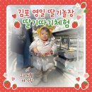 영일농장 | [김포 아이와 가볼만한곳] 영일딸기농장 23개월 아기랑 딸기따기 체험 (주차, 꿀팁, 근처 맛집)