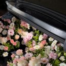 라미띠에플라워