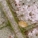 민국농장 이미지