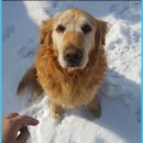 경안천 전대리 이미지