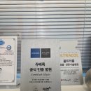 샤인닥터 | 강남쥬베룩 :: 쥬베룩더마샤인 시술후기 통증 효과