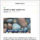 대구학생문화센터e-갤러리 기획 한국화의 새물결展 언론보도 이미지