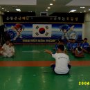 용인대 현대 체육관 Daum카페