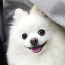 플랜디건축사사무소 이미지
