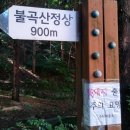 멧돼지집 이미지