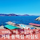 양지펜션 | 거제 겨울 가볼만한곳 걷기 좋은 동백섬 지심도
