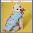 (주)조이플 | 도그아이 강아지 턱받이 조이플 구명조끼 오션블루 1개 핫한아이템