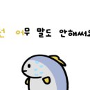 슈퍼붕 낚시카페 네이버블로그