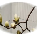 삼덕3가동경로당 Daum카페