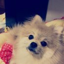 쏴라있네 - 통영시 무전6길 22-83 | 쏴라있네