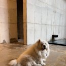 가희당 이미지