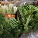 겨자씨도서관 이미지