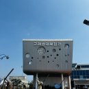 큰고래 | [울산 여행] 아이와 가볼 만한 곳: 장생포 고래생태체험관 생생 방문 후기 🐳