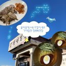 천주로 | “가야밀면 창원북면점” 창원 북면 밀면 맛집 솔직후기, 물같은비빔에 수육은 필수주문 !