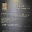 갓일-총모자 양태 이미지