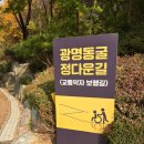 광명동굴 (라스코전시관) | 광명시 광명동굴 입장료 카페 주차 총정리