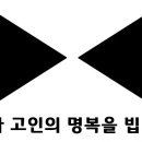 세일링요트클럽