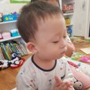 이찬저찬 티스토리