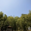 비봉내마을 이미지