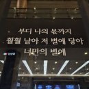 뮤지컬의 밤<할리데이> | 12월 4주차 일상로그 (2025-12-21 ~ 2025-12-27) / 위키드:포굿 / 김포현대프리미엄아울렛 / 투썸...