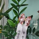 1번가공인중개사사무소 이미지