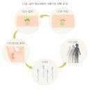 [미래로그] 사춘기 뇌발달 특성 이해 및 부모의 역할 | 정상청소년의 성장과 발달