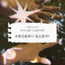 W · 01 결혼 준비의 시작 - 요즘웨딩 상담 및 계약후기 (추천인 비에이비) + 알잘딱깔센 플래너님 추천