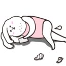 전주항아리보쌈 이미지