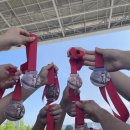 용인대 성민 태권도 이미지