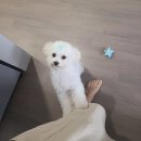 놀자놀자 이미지