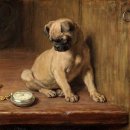 리비에르(Riviere) 이미지