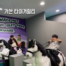 가산 현대아울렛 키즈카페 타이거릴리 방문후기