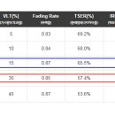 레이노썬팅
