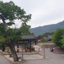  ＜법구경(171) 한 재가 신자 이야기＞ 이미지