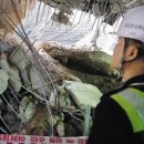 음성금석LH아파트 이미지