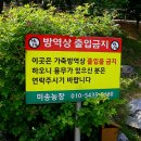 용무농장 이미지