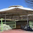 자인계정숲(씨름장) 이미지