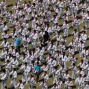 국기태권도 이미지