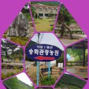 송화 펜션 이미지