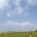 장면식농장 | 고창 학원농장 청보리밭 축제 인생샷 &amp; 아이랑 가기 좋은 상하농원 후기! 🌿