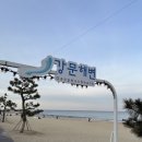 커피베이강릉송정해변점 이미지