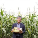 곤명농협 이미지