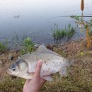 조암낚시터 이미지