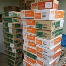 비타민프라자 이미지