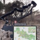 영월한반도지형 | [공지] 왕과사는 남자 촬영지 영월 한반도지형 방문 주말 놀거리 영월 명소 국내 여행지 추천