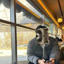 몽마르뜨공원 이미지